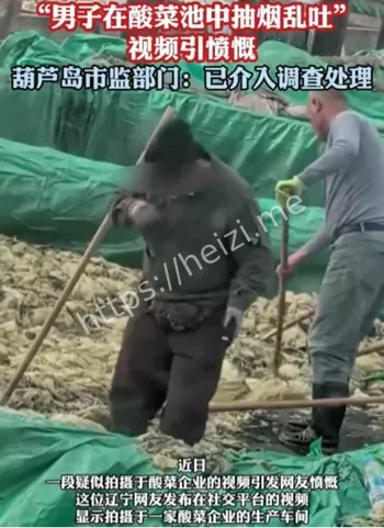 葫芦岛酸菜生产乱象